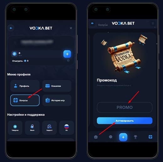 Применение промокода в Vodka Casino